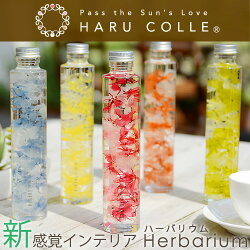 ハーバリウム(浮游花/フユカ)通販、アジサイ01
