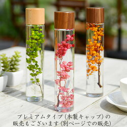 ハーバリウム(浮游花/フユカ)通販、ペッパーベリーの木製キャップタイプ