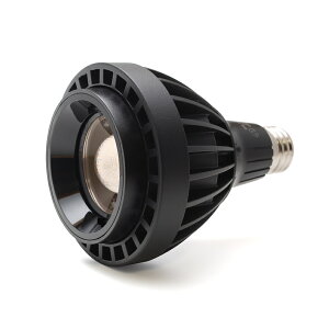 HaruDesign A琬Cg Light STAFF VA 4K McW gFn 4000Pr