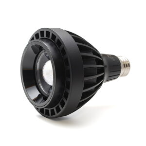 HaruDesign A琬Cg Light STAFF VA 6K FtW Fn 5800Pr