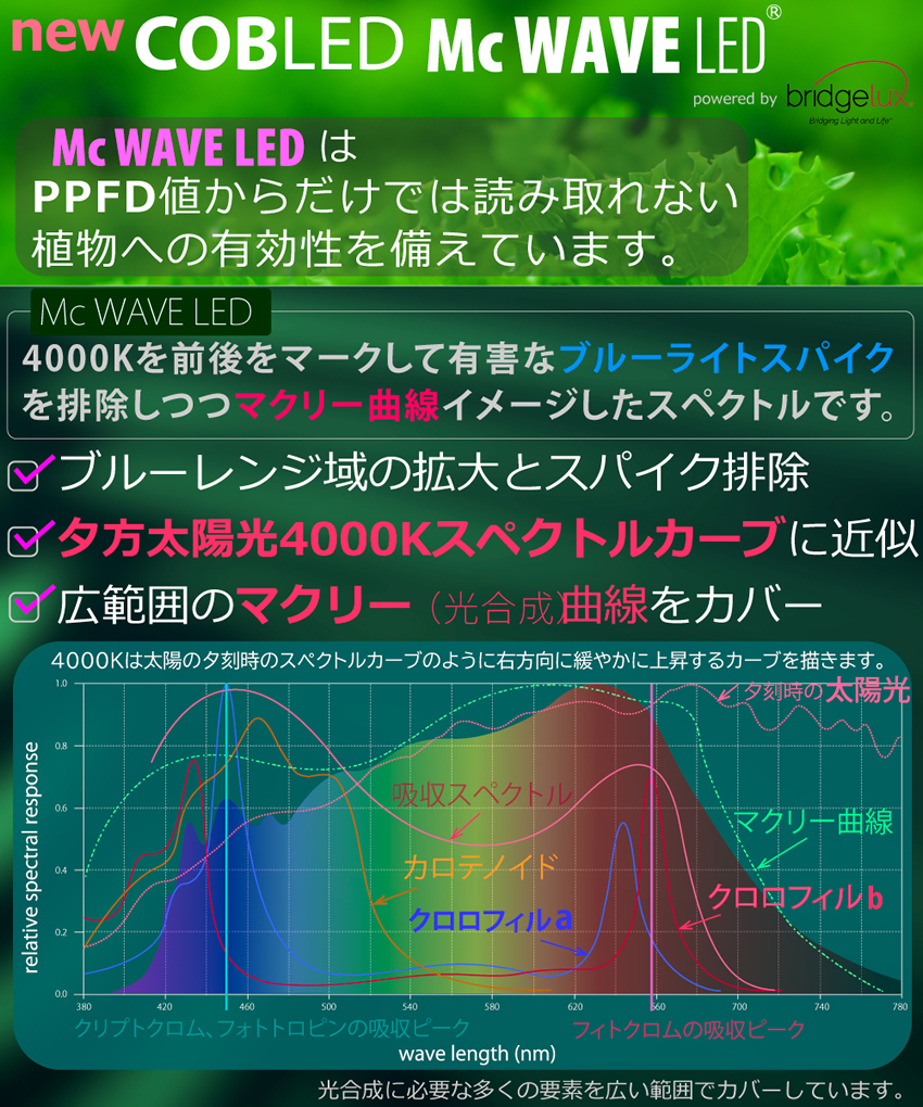 楽天市場】HaruDesign 植物育成LEDライト HASU38 spec9 4K 暖色系