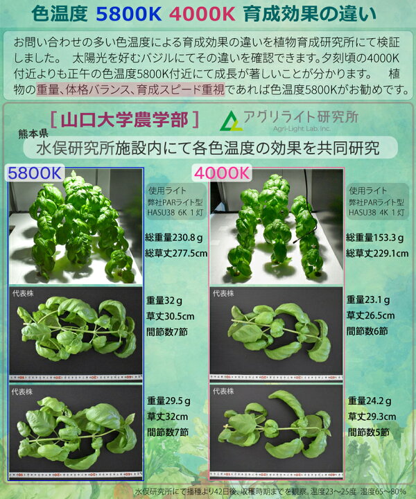 楽天市場】HaruDesign 植物育成LEDライト HASU38 spec9 4K 暖色系 
