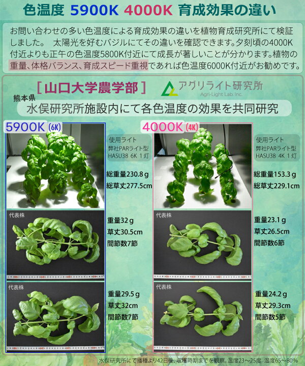 楽天市場】HaruDesign 植物育成ライト Light STAFF VA 4K McW 暖色系 