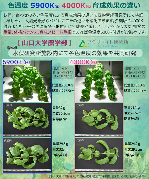 楽天市場】HaruDesign 植物育成ライト HASU38 spec9 6K 白色系 