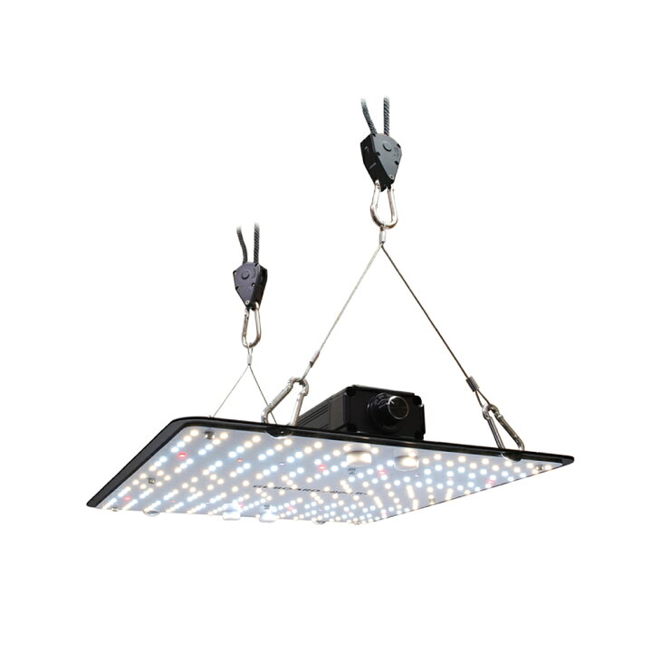楽天市場】HaruDesign 植物育成ライト GL-BOARD5000 サムスンLM301H 