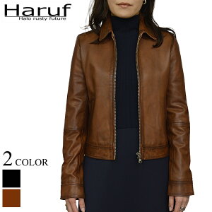 C_[XWPbg fB[X {v U[WPbg vW VO C_[X v  U[u] V[g U[ WPbg fB[X AE^[ Vv  