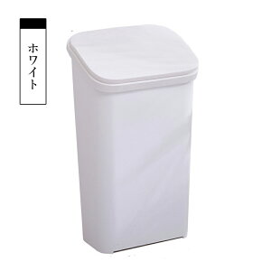 �_�X�g�{�b�N�X �S�~�� ������� �ӂ��t�� �V���v�� �_�X�g�{�b�N�X �L�b�`�� �X���� �t�^�t�� ���ݔ� �S�~���� ���ݓ��� �������� �����{�^���� �c�^ ��e�� �R���p�N�g�@�z���C�g �J�[�L 