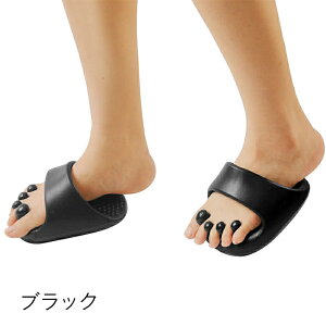 _CGbgXbp wXbp  _CGbgT_ ӂ͂ ̊Xbp ̊ oX NT_ NXbp r p g[jO X T_ Or Xr K 