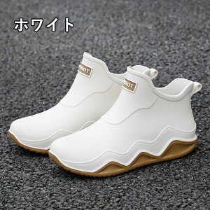 Cu[c CV[Y ZC C   y ~h ₷ Y JC EhgD V[g y Sh h ނ  ₷ L _ K[fjO fB