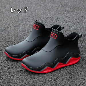 Cu[c CV[Y ZC C   y ~h ₷ Y JC EhgD V[g y Sh h ނ  ₷ L _ K[fjO fB