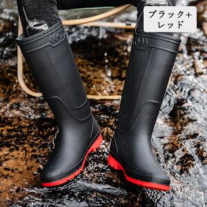 C Cu[c C O fB[X C Y   y ~h ₷ JC EhgD V[g y Sh h ނ  ₷ L _ K[fj