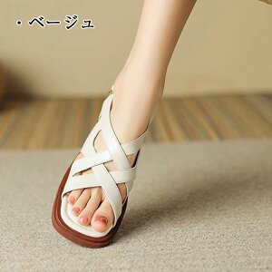 T_ fB[X [ Vv fUC ؂ IV JWA _炩 ig f[g EȂ T_ ɂȂ Xgbv r y lC ʋC 䟭 Ȃ 