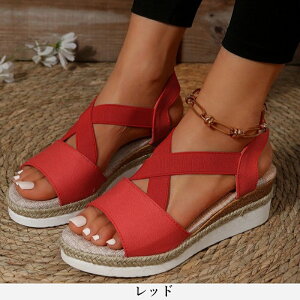 T_5.5cm q[  Ȃ ɂȂ  ₷fB[X 傫TCY TCY y y EFbW\[W[g t   s S Sxg ₷ 