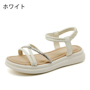 T_ fB[X ɂȂ y ʋC r[` T_ Xbp X|[cT_ _炩 Ȃ tbgT_ ~ bNX gh Vv wlC ₷ R