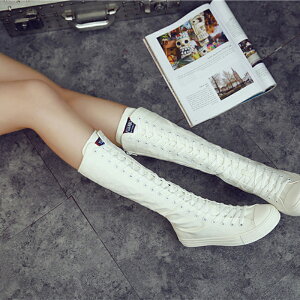 LoX O Xj[J[ fB[X t@Xi[t ₷  ҂ݏグ ₷ V[Y ʊw ʋ r JWA 傫TCY _Xߑ _X LoX nCJ