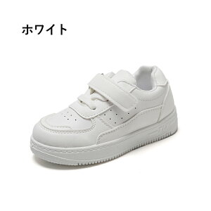 Xj[J[ LbY WjA ̎q j̎q V[Y C ^C q qCjOV[Y }WbNe[v ʊw X|[c y JWA Vv ^ w ct qǂ