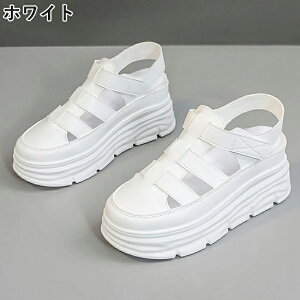 T_ fB[X T_ RtH[gT_  ~ X|T }WbNe[v X|[c fB[XV[Y y AEghA ₷ L RtH[gT_ q[