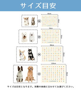 ybgp N[}bg 􂦂  O Ђ V[c ې􂢉 傫TCY ^ ^ ^ Lp p   Ȃ ΍ ܂肽  R }bg  傫