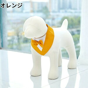 ybg փX[c hbOEFA tH[}  ybg  LOʐ^  ^LV[h ̕ ybg ybgpi p j 킢  X[c pȒP ybgG