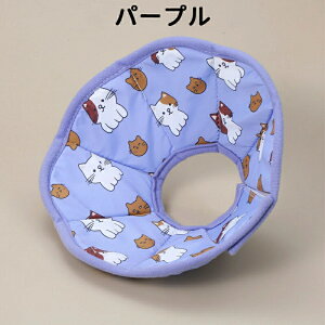 GUxXJ[ L  ybg \tg^Cv p r ʋCȂrߖh~   Ђ  aC  PK  킢 \tg ߉\ y _炩 mXgX J