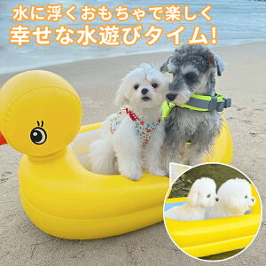 ybg ɕ C V C 킢 SS v[