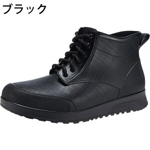 CV[Y Cu[c Y hV[Y JC ʋ Cu[c V[g Y   ₷ JC EhgD y Sh h ނ  ₷ L _