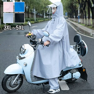 CR[g ] C|` 傫TCY ʊw fB[X Y 傫 O bN oCU[ h J JJbp Lv g ʋ ʊw }} ۈ牀̑}  o