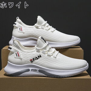 Xj[J[ Y fB[X X|[c   ʋC ؍ ₷ ₷ y y ~ JWA YXj[J[ jO EH[LO g[jOV