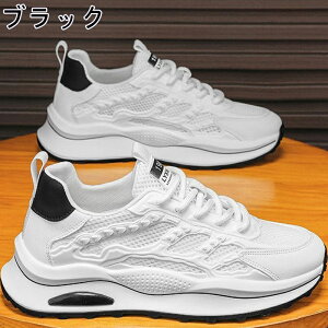 Xj[J[ Y fB[X X|[c   ʋC ؍ ₷ ₷ y y ~ JWA YXj[J[ jO EH[LO g[jOV