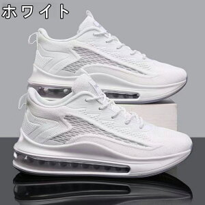 Xj[J[ Y fB[X X|[c   ʋC ؍ ₷ ₷ y y ~ JWA YXj[J[ jO EH[LO g[jOV