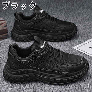 Xj[J[ Y fB[X X|[c   ʋC ؍ ₷ ₷ y y ~ JWA YXj[J[ jO EH[LO g[jOV