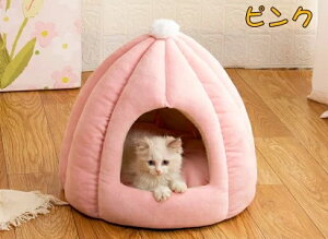 h[nEX ybgxbh h[^ xbh h[ nEX J{` ybgeg NbVt ybgpQ 7F@3TCYybgpiۉh 􂦂 ΍ ~  