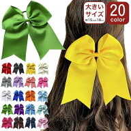 【LINE友だちクーポン配布中】【訳あり】ヘアゴム 20カラー 大きい リボン 無地 グログラン リボン ヘア…