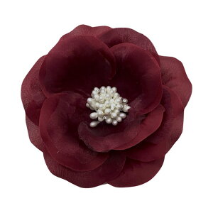 yubNtCf[Z[zy݌ɏzyRT[W JAz 9cm Ԃ JA RT[W Te I[KW[ tH[} p[ w Ǝ   Ӊ \ }