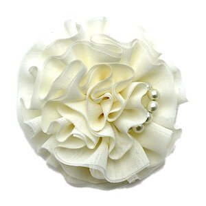 yubNtCf[Z[zyRT[Wz p[  Ԃ RT[W Vv  QXg I hXAbv tH[} w Ǝ   u[` }}  