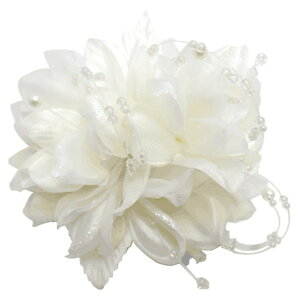 yubNtCf[Z[zy݌ɏzyRT[Wzy2WAY wANbvtzp[ r[Y RT[W Vv I[KW[  QXg w Ǝ   hXA