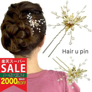 yyVX[p[Z[ΏہzyUszA  [t Us  p[ r[Y  wAANZT[ S[h LL  U 񂴂 wAs  QXg {u V[g w