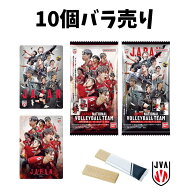 【 10個バラ売り 】JAPAN NATIONAL VOLLEYBALL TEAM 男子日本代表ver. ツインウエハース 2026 男子バレー…