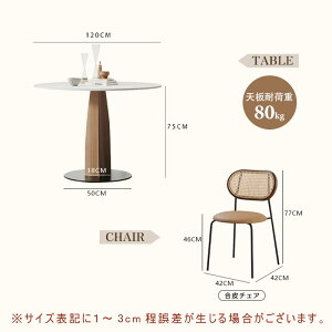 y5Nۏ؁z_CjOe[u ۃe[u 100 120 6lp  ~` 4l|p Pi RpNg uE i` k AeB[N JtF JtFe[u ی^ 120cm e[u