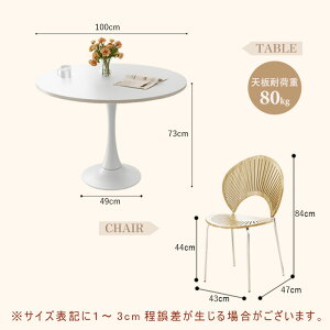 yő2500~N[|SXP5Izy5Nۏ؁z_CjOe[u  80cm JtFe[u ~` 60cm 100cm Z~bN  2l l ی^ ۃe[u _CjO R[q[e[u  ~`e[u