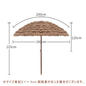 y5Nۏ؁zK[fp\ 蓮J^Cv  180cm 悯 J悯Ή J[L 