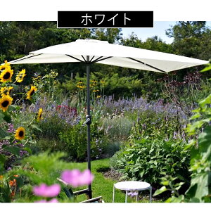 y5Nۏ؁zK[fp\ 蓮J^Cv  300cm 悯 J悯Ή J[L 