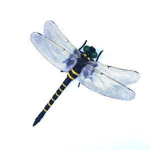 2023Nf  Ki x y{ƂقړTCYz 悯 g{ PVCގ   ނ  x_ Ԍ  oR kނ Lv AEghA OƉp