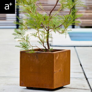 p^XNGAv^[ W300mm ` [^ R[e| A  x_  ƒ؉  Patina peBiV[Y K[fjO  v^[ jO OW K Tr AHL-CP0303PR