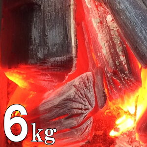 yzS҂łg₷I ؒY 6kg iYj o[xL[ AEghA ɍœKI yo[xL[/BBQ/AEghA/YΗ/Ă/ē/Y/ؒY/Y/Y/Y/R/R