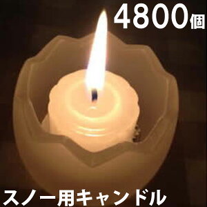 Xm[pLh@4800Zbgi24×200j 200yLh/낤/E\N/XC//d/ЊQ/Oz(NH9902-200)