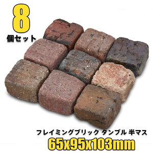 ԒdubN tC~OubN ^u}Xx8(N87175) Ԓd Ԓd ubN { A d  K[f GNXeA  nxt