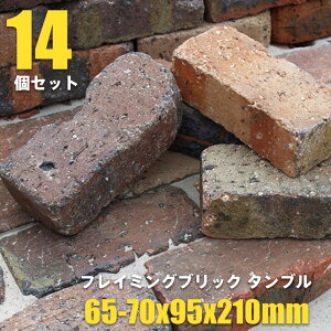 ԒdubN tC~OubN ^u×14(N95705) Ԓd Ԓd ubN { A d  K[f GNXeA yz nxt