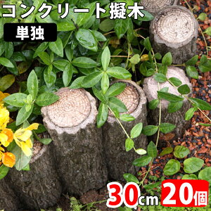 [ RN[g P 30cm×20 (N96375) RN[g v Ȃ  Ԓd  y y V  K[f GNXeA yz nxt