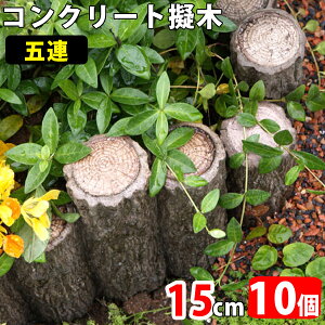 [ RN[g ܘA 15cm×10 (N96399) RN[g v Ȃ  Ԓd  y y V  K[f GNXeA yz nxt